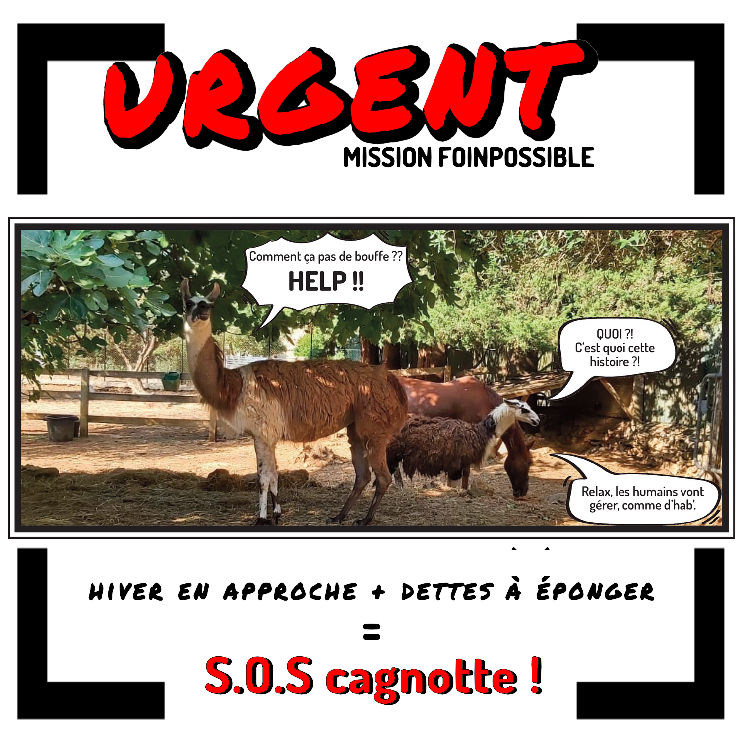 URGENT : Mission FOINpossible - Appel aux dons